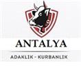 Antalya Adaklık Kurbanlık  - Antalya